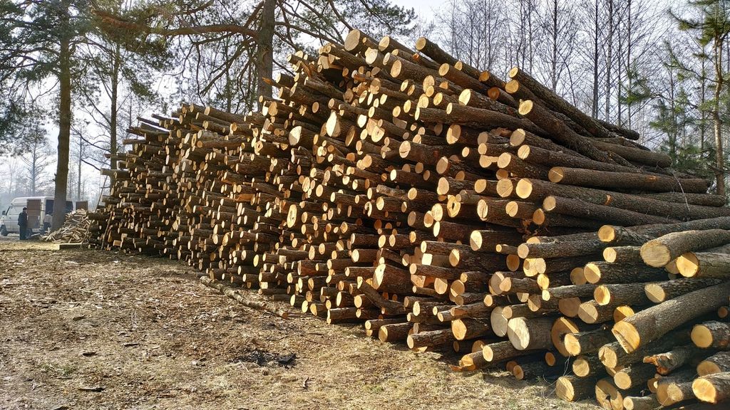 Производство древесного сырья и необработанные лесоматериалами